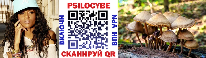 shop телеграм  Верещагино  Псилоцибиновые грибы прущие грибы 